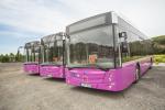 Temsa Avenue LF CNG 2014 года